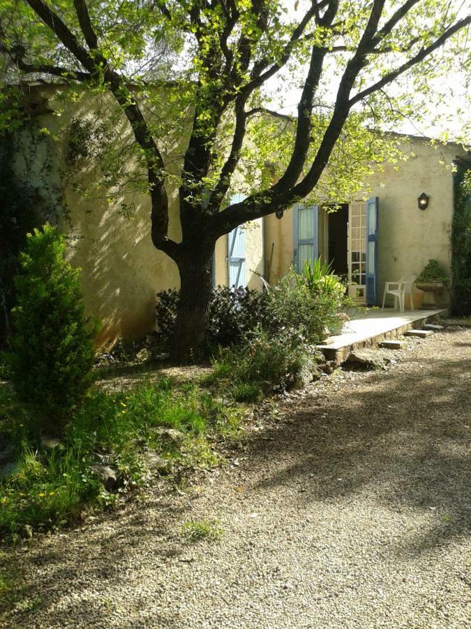 Minouchka * Tourrettes-sur-Loup
